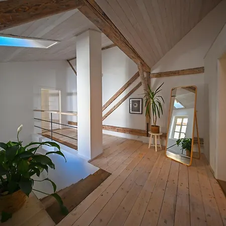 Renesancni Dum Holiday home *